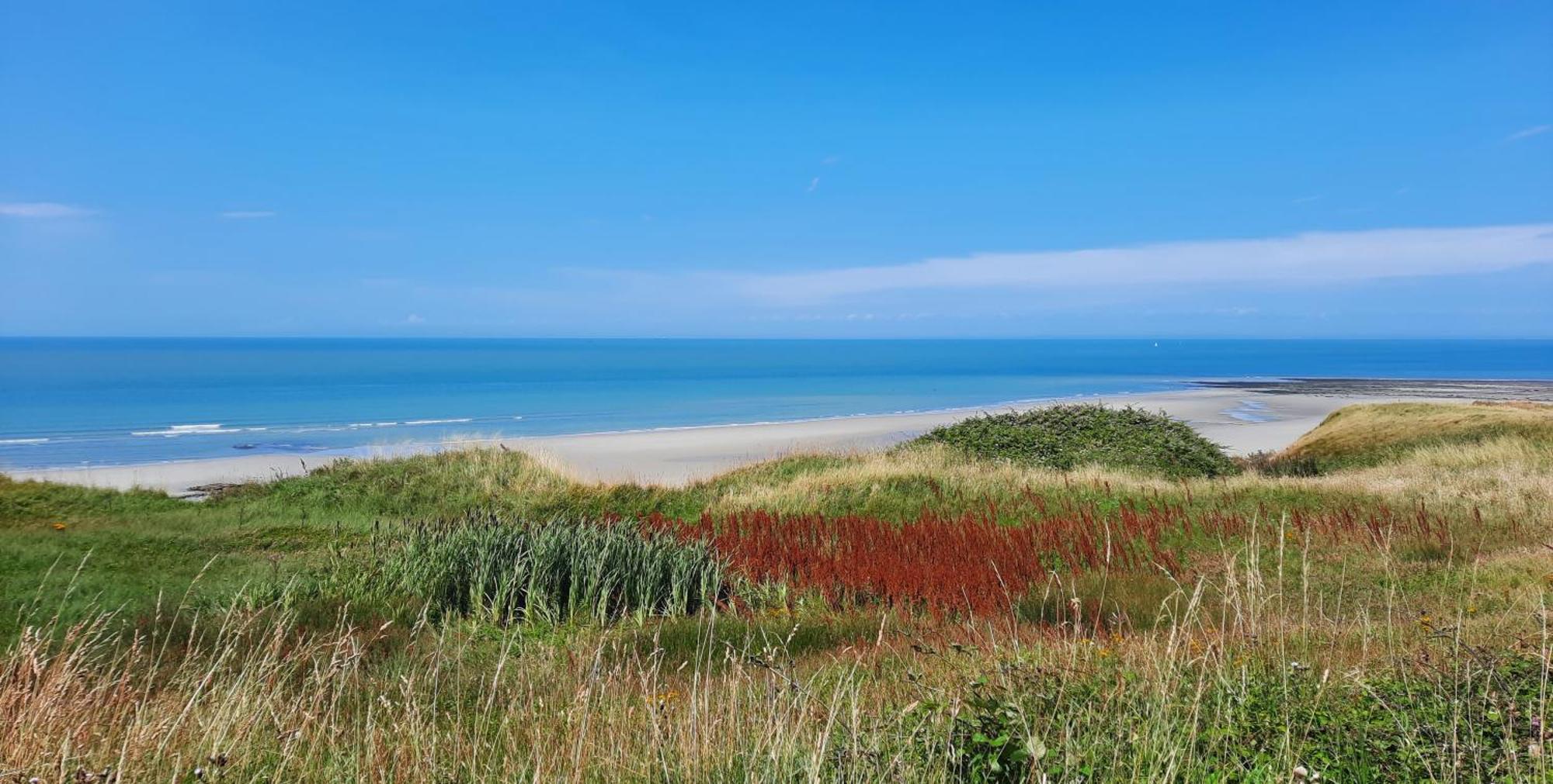 Le 246 - Duplex face à la mer pour 4 personnes, Wifi, TV full Sat, Parking Wimereux Exterior foto